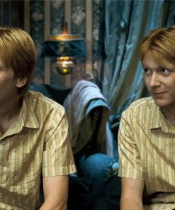 Fred Et George Weasley Characters paint by numbers