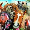 Funny Horses Animals paint by numbers