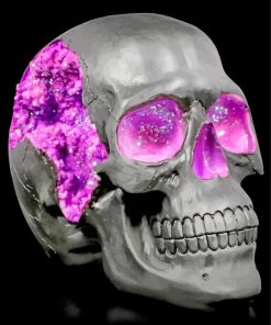 Geode Skull paint by numbers