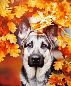 German Shepherd Autumn Background Dog paint by numbers