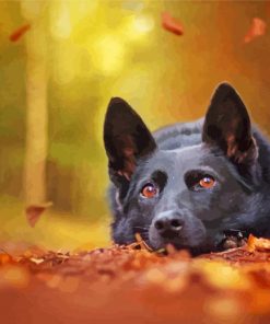 German Shepherd Autumn Background Puppy paint by numbers