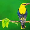 Golden Oriole On Stick paint by number