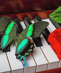 Green Black Butterfly And Red Rose paint by numbers