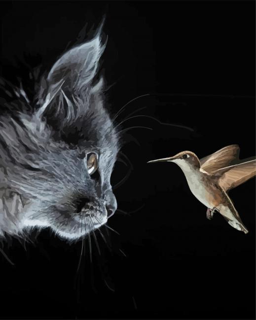 Grey Cat And Hummingbirds paint by numbers