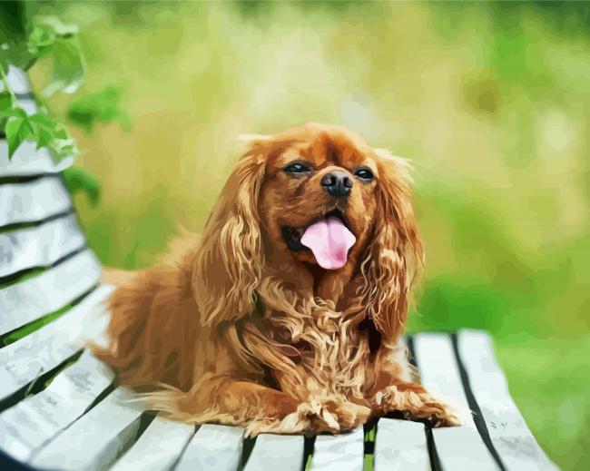 Happy Cavalier King Charles Spaniel Smiling On A Bench paint by number