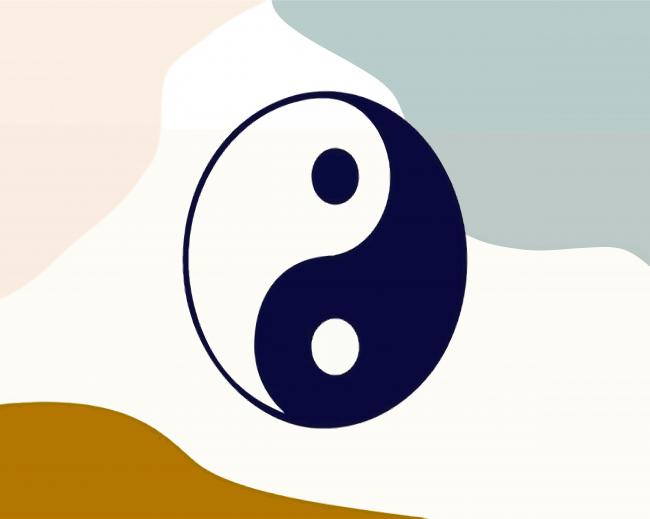 Yin And Yang paint by number