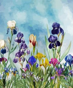Iris Field Plants paint by numbers