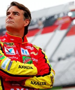 Jeff Gordon Driver paint by numbers