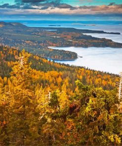 Koli National Park Finland paint by number