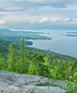 Koli National Park In Finland paint by number