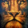 Lion Of Judah Art paint by numbers