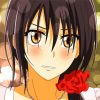Maid Sama Anime Character paint by numbers