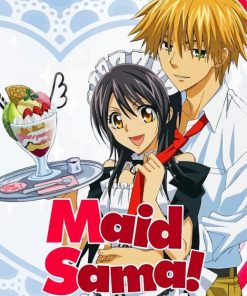 Maid Sama Poster paint by numbers