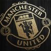Manchester United Logo Black paint by numbers