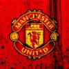 Manchester United Logo Art paint by numbers