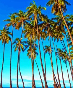 Molokai Palm Trees paint by number