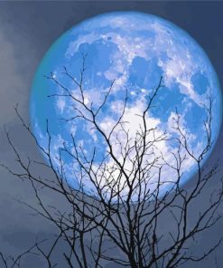 Blue Moon paint by numbers