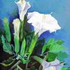 Moonflowers Art paint by number