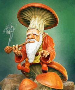 Mushroom Gnome Smoking paint by numbers