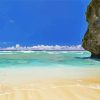 Niue Island Beach paint by number