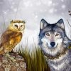 Owl Bird And Wolf paint by number