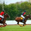 Polo Women Players And Horses paint by numbers