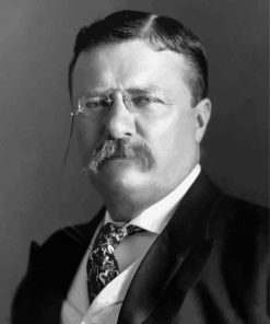 President Theodore Roosevelt Black And White paint by number