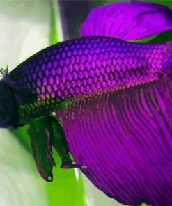 Artistic Purple Betta Fish paint by numbers