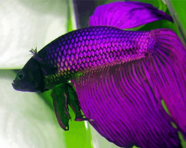Artistic Purple Betta Fish paint by numbers