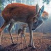 Realistic Deers Animal paint by numbers