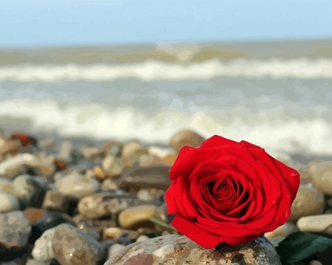 Red Rose And Beach paint by number