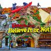 Ripley's Believe It Or Not In Fort Worth paint by numbers