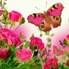Roses And Butterfly paint by number