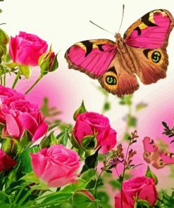 Roses And Butterfly paint by number