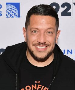 Sal Vulcano Comedian paint by number