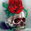 Skulls And Roses Flower Art paint by numbers