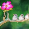 Small Birds On Branch paint by number