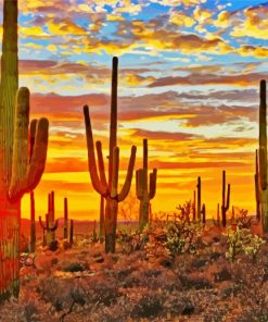 Sonoran Desert paint by number