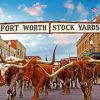 Stockyards In Fort Worth paint by numbers