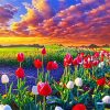 Sunrise Spring Flowers Tulips Field paint by number