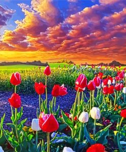 Sunrise Spring Flowers Tulips Field paint by number