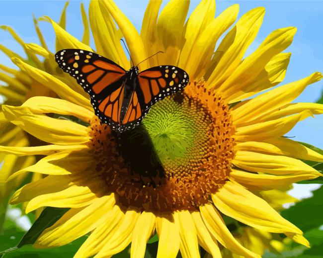 Suny Sunflower And Butterfly paint by numbers