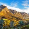 Tafelberg National Park paint by number