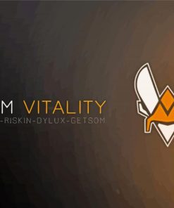Team Vitality Logo paint by numbers
