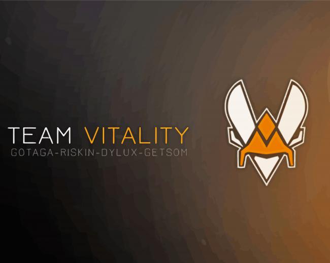 Team Vitality Logo paint by numbers