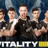 Team Vitality Esports Organisation paint by numbers