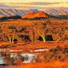 The Australian Landscape paint by number