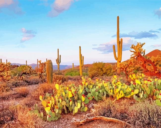 The Sonoran Desert paint by number