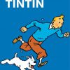 Tin Tin Poster paint by numbers