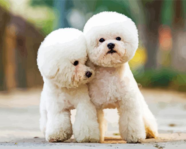 Toy Poodle Puppies paint by number